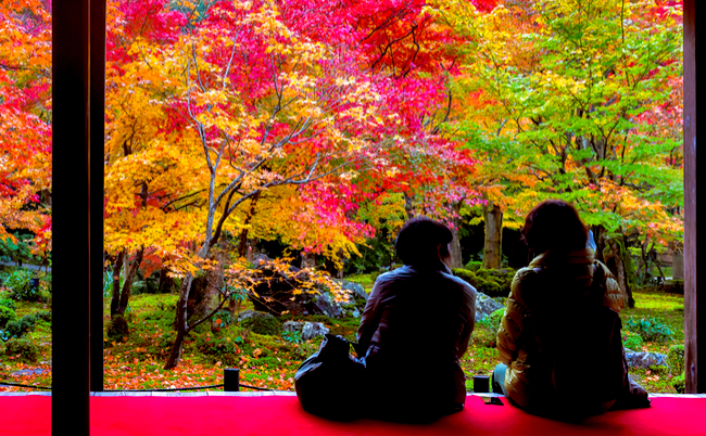 京都100連泊プラン