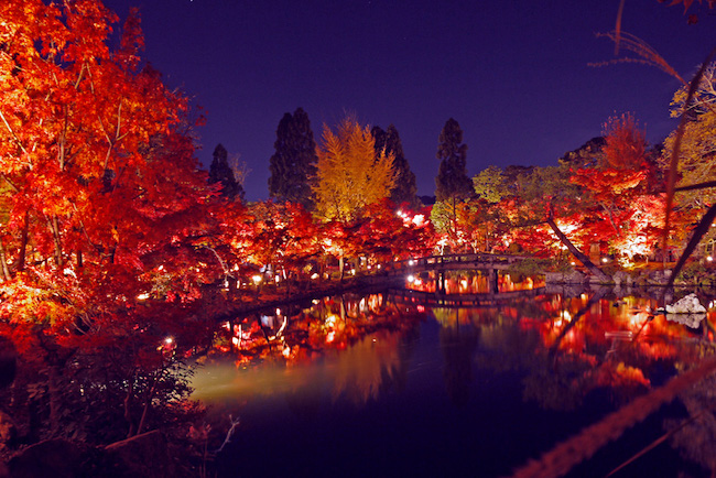鏡張りのような美しい紅葉も。京都を美しく撮れる紅葉エリア10選
