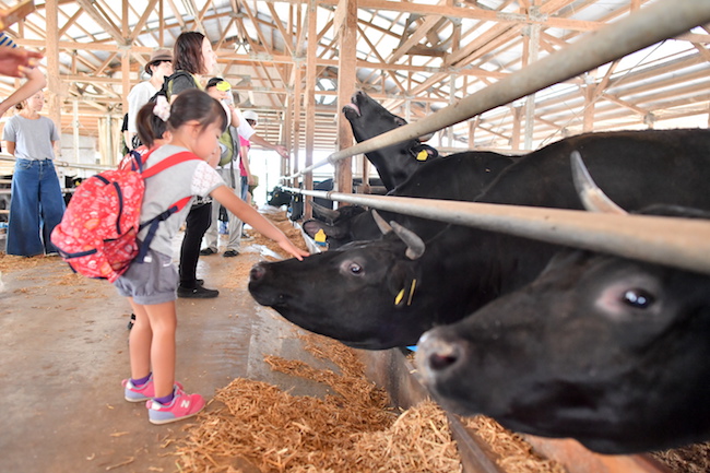湘南ブランド牛も。BBQをとことん「プレミアム」にしたらこうなった
