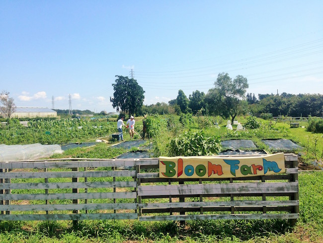 湘南ブランド牛も。BBQをとことん「プレミアム」にしたらこうなった