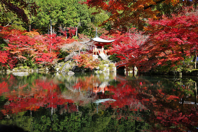 鏡張りのような美しい紅葉も。京都を美しく撮れる紅葉エリア10選