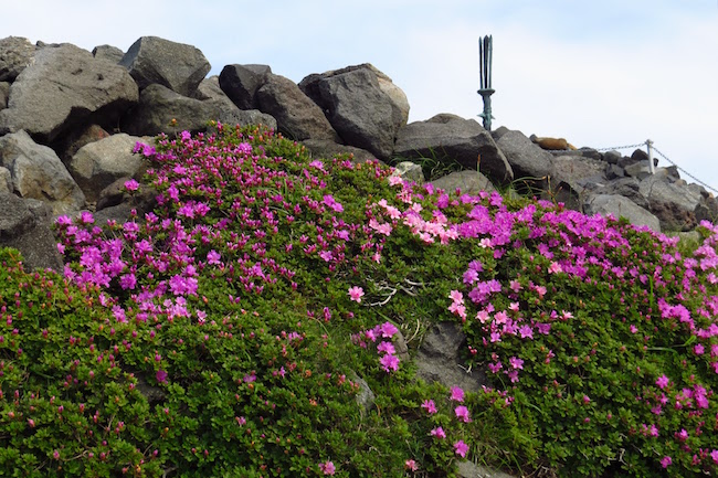 坂本龍馬も登った、天孫降臨の地として知られる「高千穂峰」へ