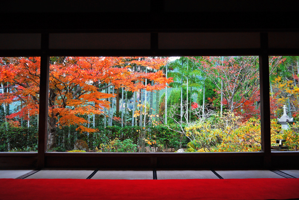 鏡張りのような美しい紅葉も。京都を美しく撮れる紅葉エリア10選
