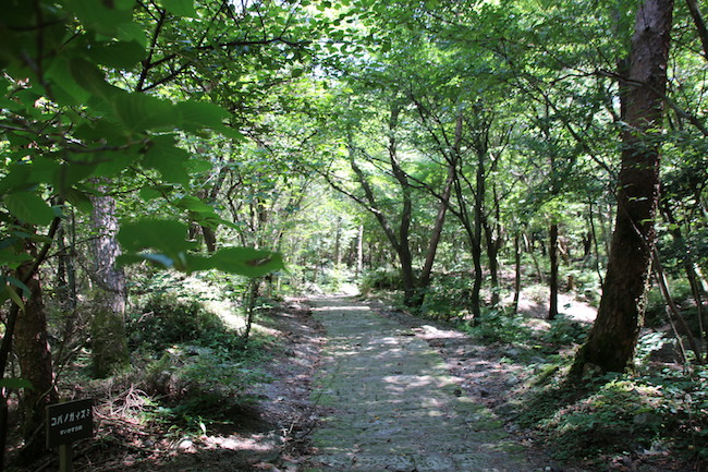 坂本龍馬も登った、天孫降臨の地として知られる「高千穂峰」へ