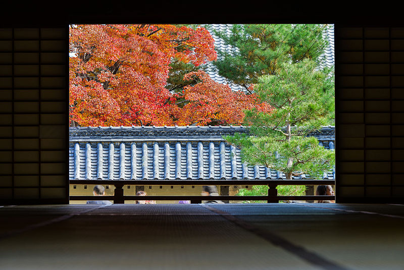 鏡張りのような美しい紅葉も。京都を美しく撮れる紅葉エリア10選