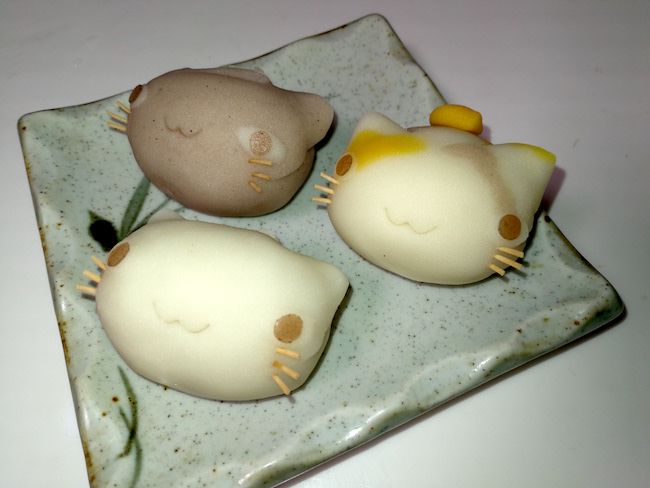 長崎は猫の街だった。幸運を連れてくる「尾曲がり猫」がたくさん