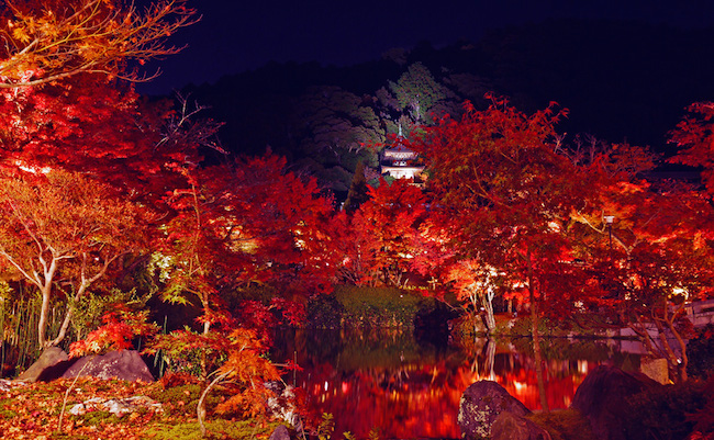 まさに王道。京都で紅葉を愛でる、大人の極上コースを歩む旅へ