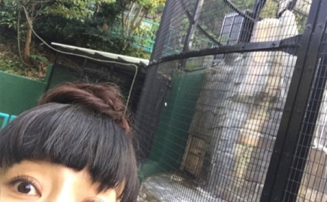 151040898808403700 copy