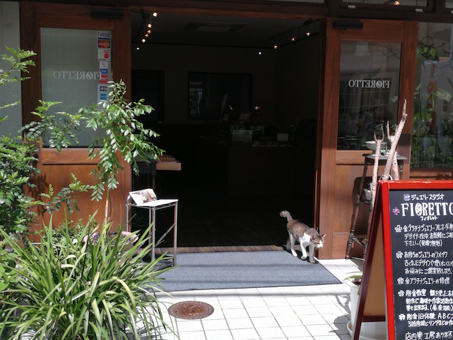 長崎は猫の街だった。幸運を連れてくる「尾曲がり猫」がたくさん