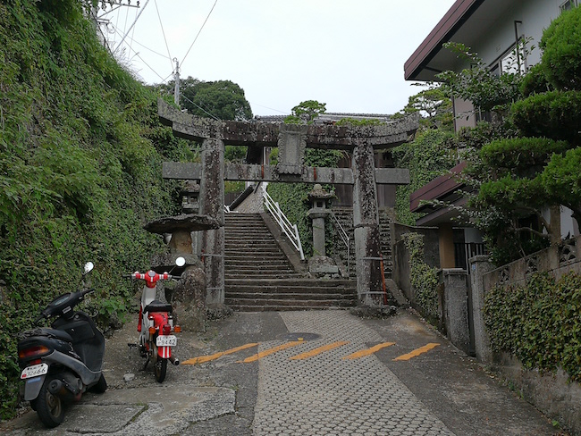 長崎は猫の街だった。幸運を連れてくる「尾曲がり猫」がたくさん