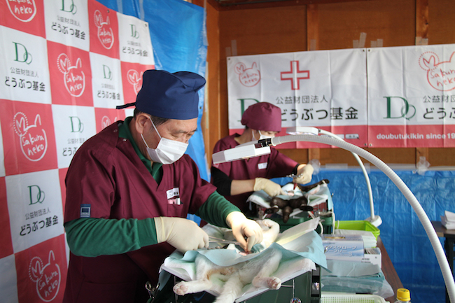 犬猫の殺処分ゼロへ、各自治体の「ユニークな訴え」が徐々に効果