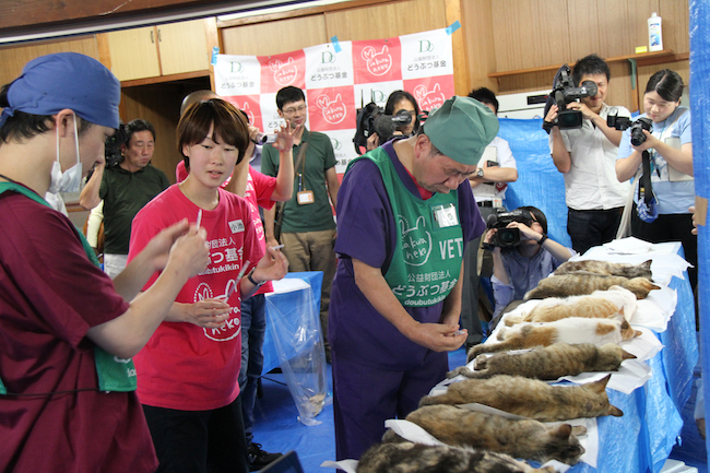 犬猫の殺処分ゼロへ、各自治体の「ユニークな訴え」が徐々に効果