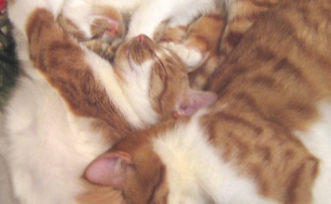 img_3245のコピー