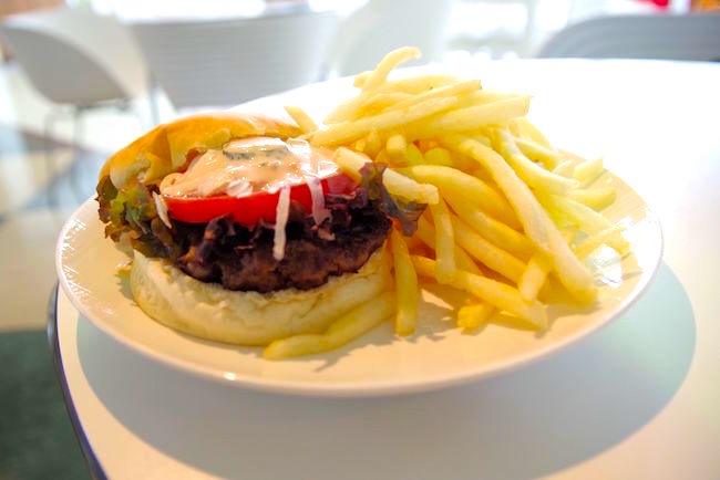 現役飛行機の間近で食事ができる調布「プロペラカフェ」に潜入