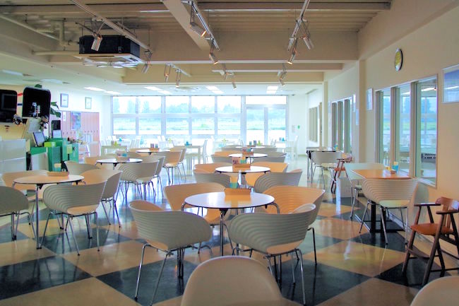 現役飛行機の間近で食事ができる調布「プロペラカフェ」に潜入