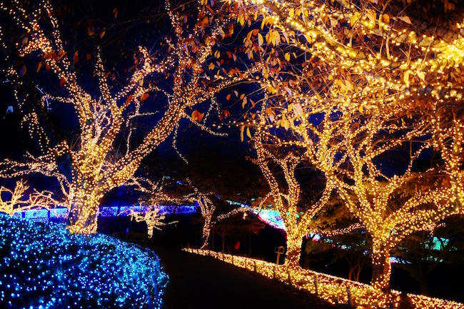 関東最大、600万球のLEDが織りなす光の祭典「さがみ湖イルミリオン」