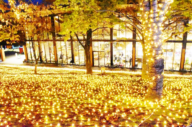 関東最大、600万球のLEDが織りなす光の祭典「さがみ湖イルミリオン」