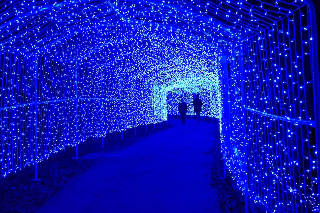 関東最大、600万球のLEDが織りなす光の祭典「さがみ湖イルミリオン」