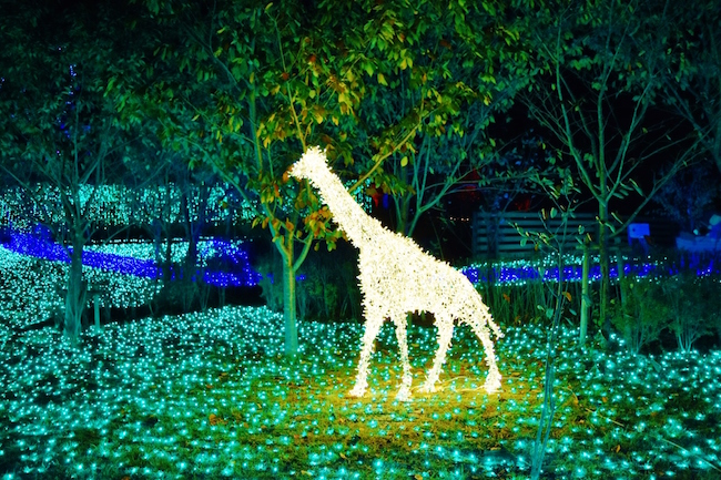 関東最大、600万球のLEDが織りなす光の祭典「さがみ湖イルミリオン」