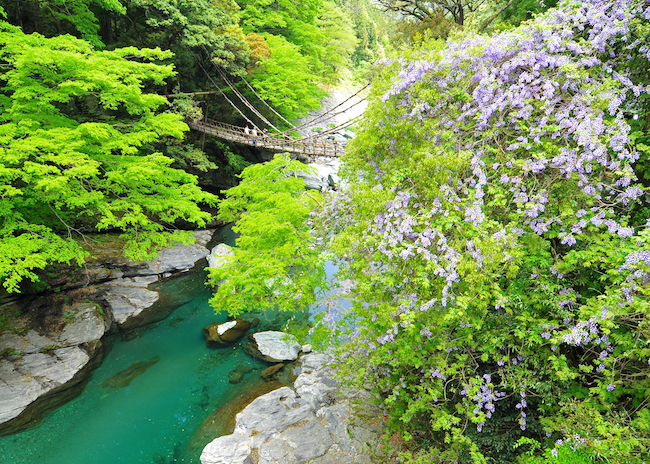 なぜ徳島が1位? 外国人に人気の温泉ランキング『温泉総選挙2017』