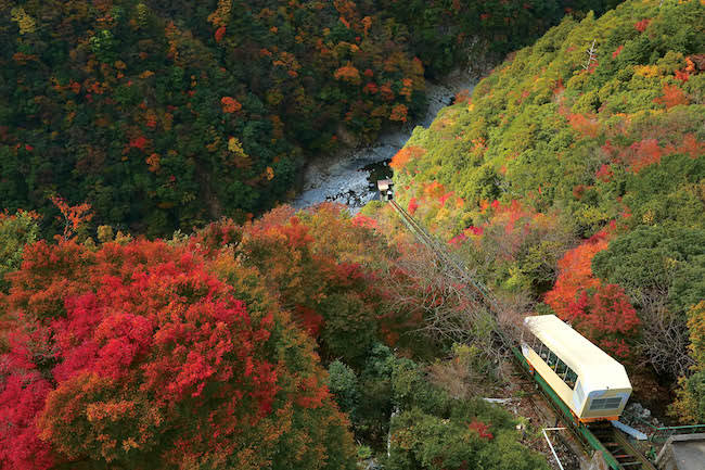 なぜ徳島が1位? 外国人に人気の温泉ランキング『温泉総選挙2017』