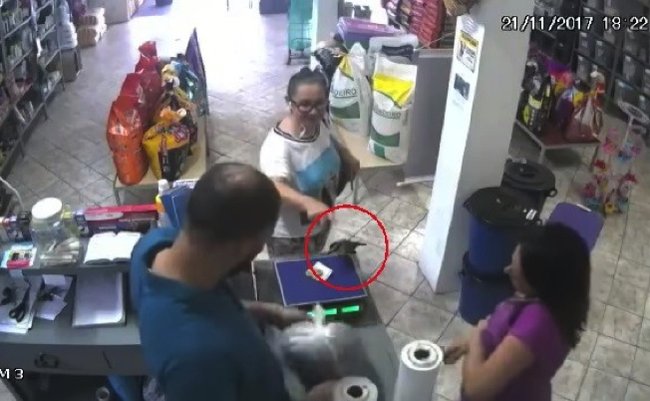 面白 動画 海外