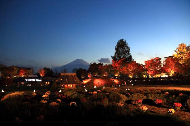 紅葉は赤だけじゃない。金色に包まれるゴールデンな「黄葉」スポット