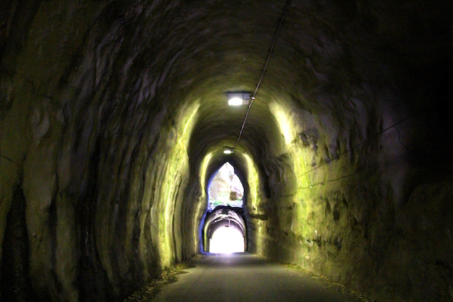 関東で一番遅い紅葉も。大人女子が案内する、千葉「養老渓谷」さんぽ