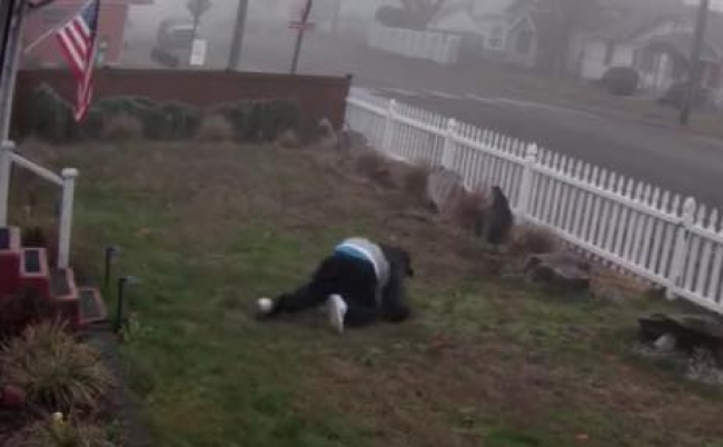 20171219_ViRATES ViRATES 動画 罠