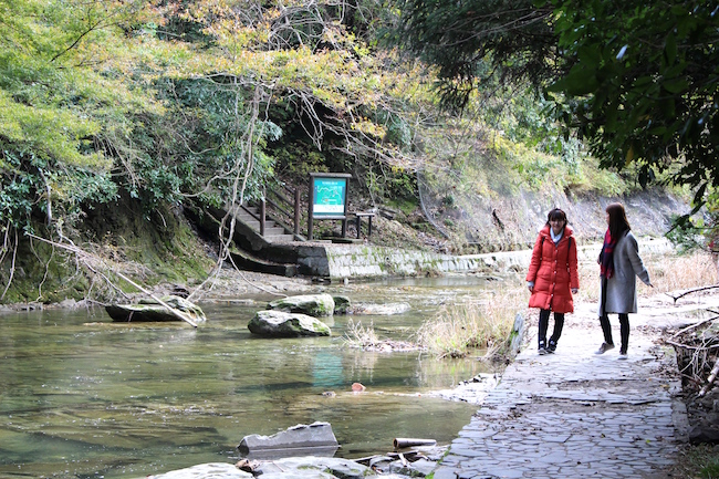 関東で一番遅い紅葉も。大人女子が案内する、千葉「養老渓谷」さんぽ