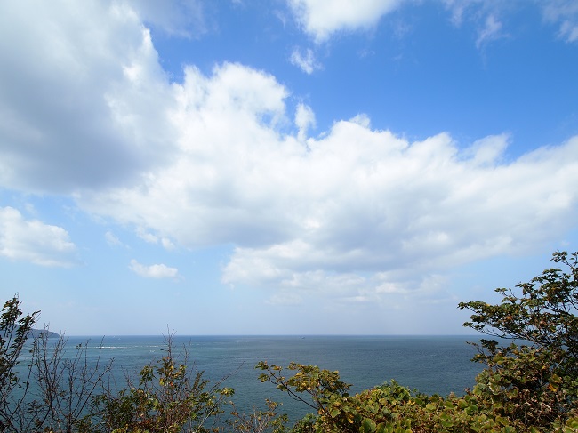 玉ねぎで島を盛り上げたい。淡路島の「おっタマげ」な活動が話題