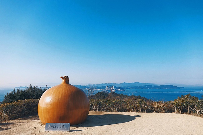 玉ねぎで島を盛り上げたい。淡路島の「おっタマげ」な活動が話題