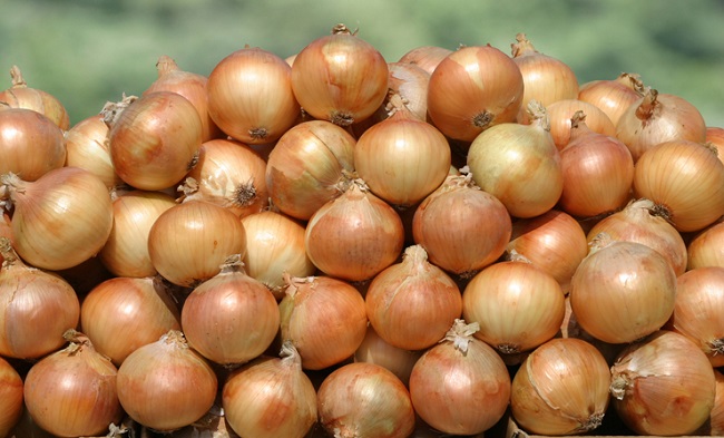 玉ねぎで島を盛り上げたい。淡路島の「おっタマげ」な活動が話題