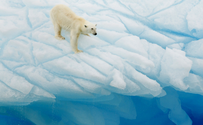 20180111_kawai 北極 爆弾低気圧 河合薫 異常気象