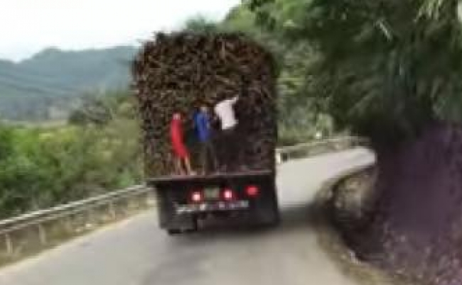 7fbf012337a287d1def6817bbdbb98ac