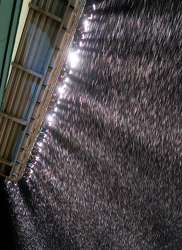 青森のミステリーサークル、再び。今年は地元民の「足跡」に拡大