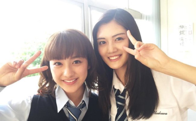 151952647977203300 copy