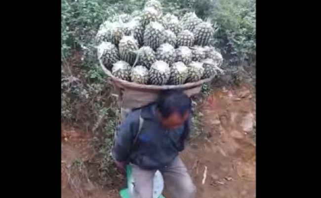 68d45c45d36b75cf73f9d8fb6504add2