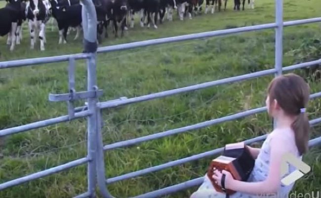 701f224e7c380061bac0bcf3c2775701 copy