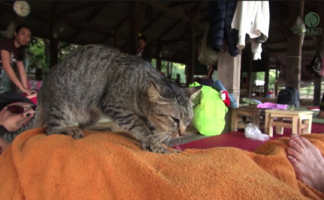 84c8eab864be8c501e27cf3e2c140164-640x335