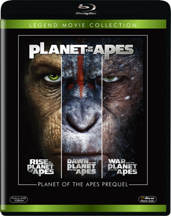 POTApuriBDcollection-1805lmcBD_SB_SP1