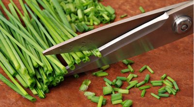 shutterstock_100790224