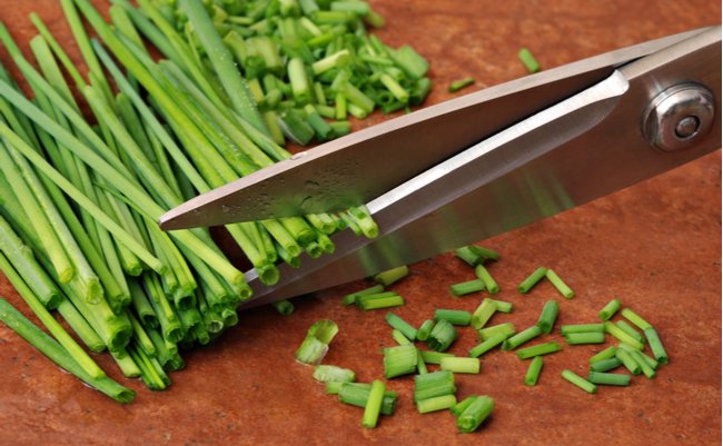 shutterstock_100790224