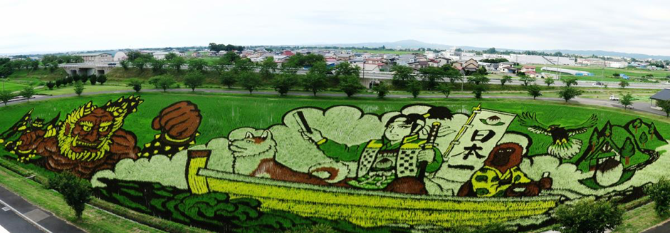 青森のミステリーサークル、再び。今年は地元民の「足跡」に拡大