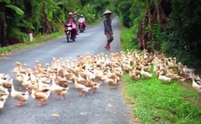 02b1929698e69241b9552df706f7eac3 copy