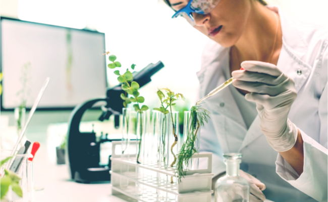 shutterstock_742121593