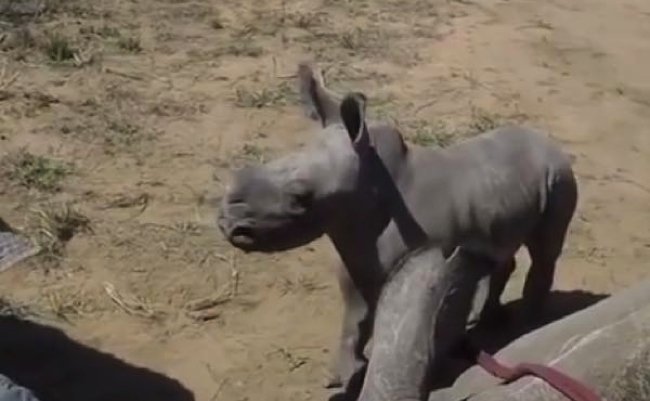 bc255ba7713be1601b655db322a2f346 copy