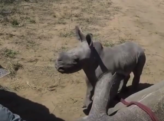 bc255ba7713be1601b655db322a2f346 copy