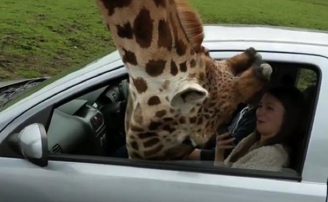 e40239a599b3ddcd6d6a573c3264c03b copy