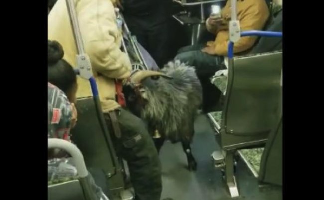 ff8bc362f4f0e9ea866cdf64aaf7c2aa copy